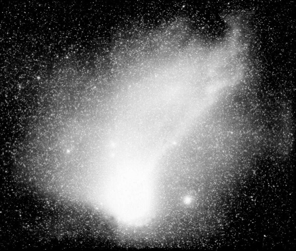 Immagine della cometa di Halley