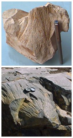 In alto uno shatter cone trovato nel cratere Steinheim in Germania , in basso uno shatter cone che si trova a Sdbury, in Ontario
