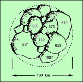 Disegno che riproduce la possibile frammentazione di una delle famiglie pi numerose