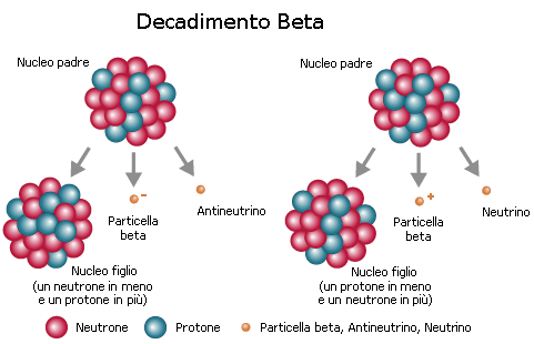 Lo schema dei due possibili decadimenti beta