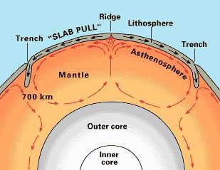 Schematizzazione delle celle convettive che originano i moti tettonici