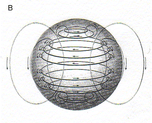 il campo magnetico ad assumere una direzione anomala