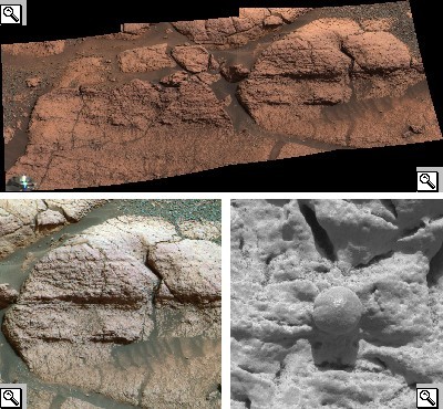 Foto di Opportunity del cratere Eagle, della roccia Stone mountain, della parte denominata El Capitain e di un mirtillo.