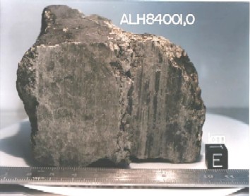 La meteorite ALH84001