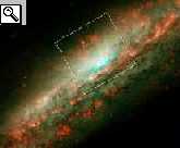 la galassia NGC 3079