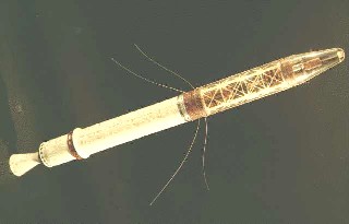 l'Explorer 1