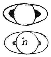 I disegni di Saturno fatti da Galileo Galilei