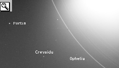 Foto di Cressida, Ophelia e Porzia.