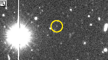 Come è stata identificata Margherita.