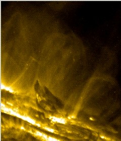 Foto della zona di transizione fatta dalla sonda TRACE 