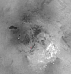 Foto della Cassini dell'Ontario Lacus