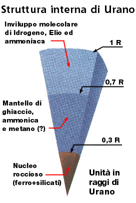 Struttura ipotizzata