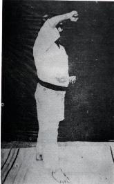 Bin-han Nidan 