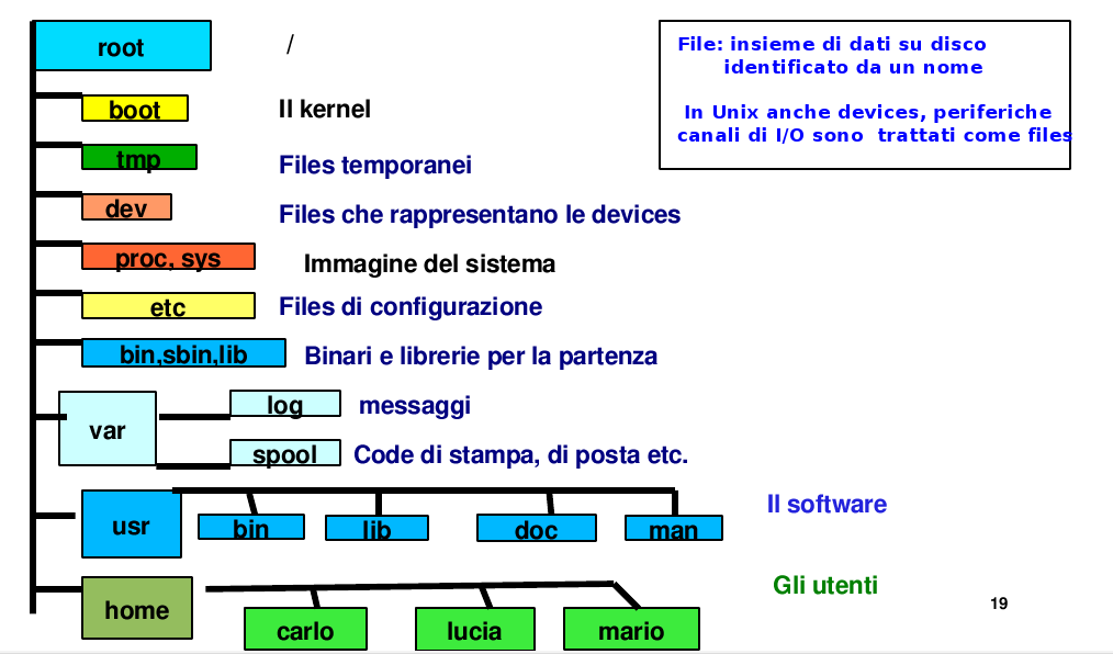 Struttura del file system