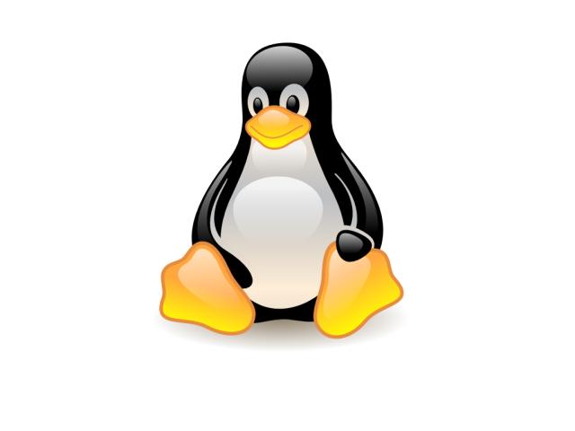 Linux Logo