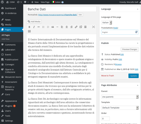 wordpress editor