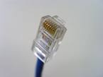 RJ45 plug